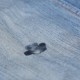Подсказки опытных хозяек, как легко и просто убрать воск с джинсов