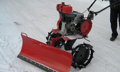 foto55726-9