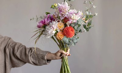 foto56303-7